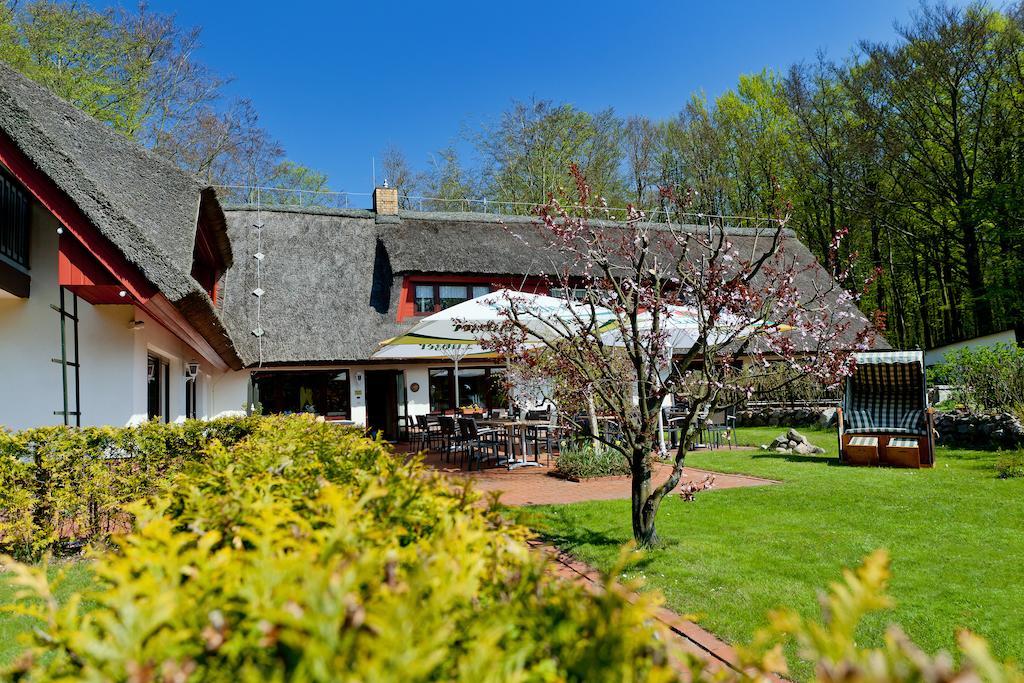 Restaurant & Hotel Baumhaus Hagen Sassnitz Exterior photo